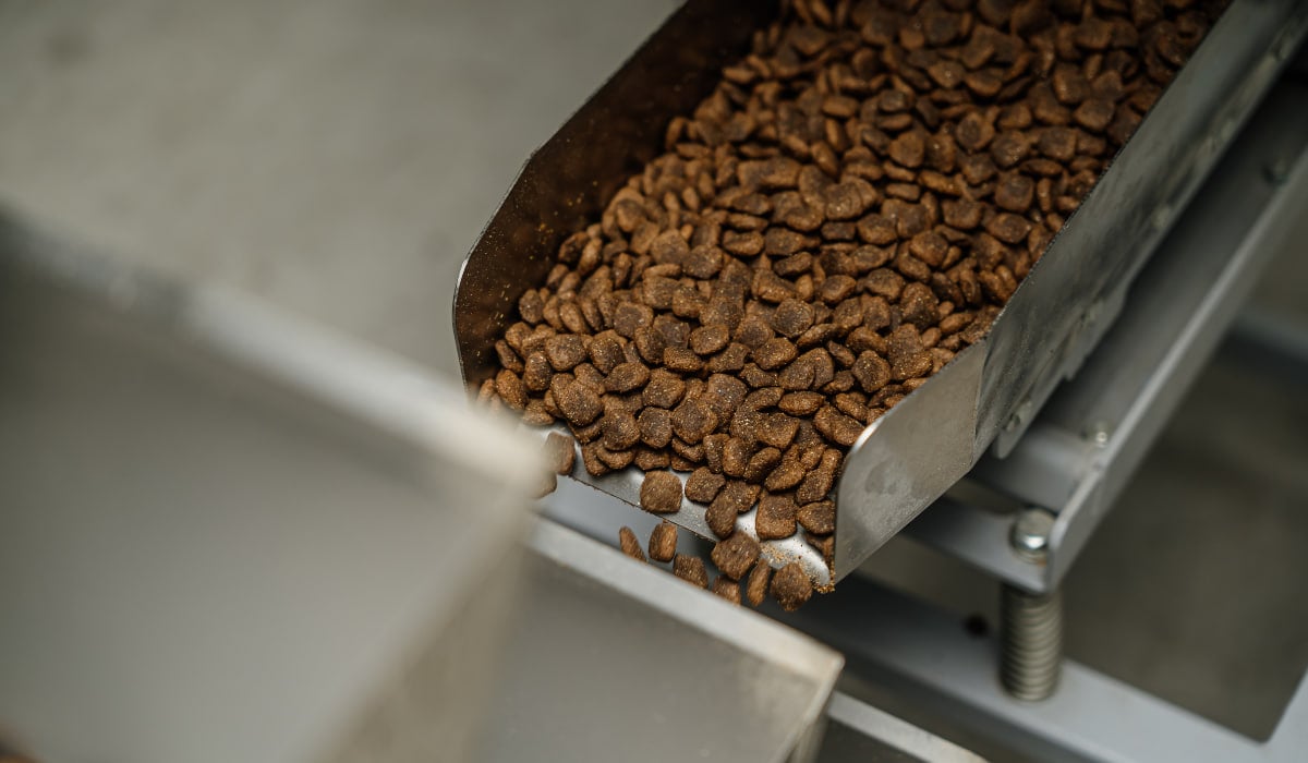 Як захистити собаку та кота від кліщів навесні: методи профілактики та зміцнення імунітету