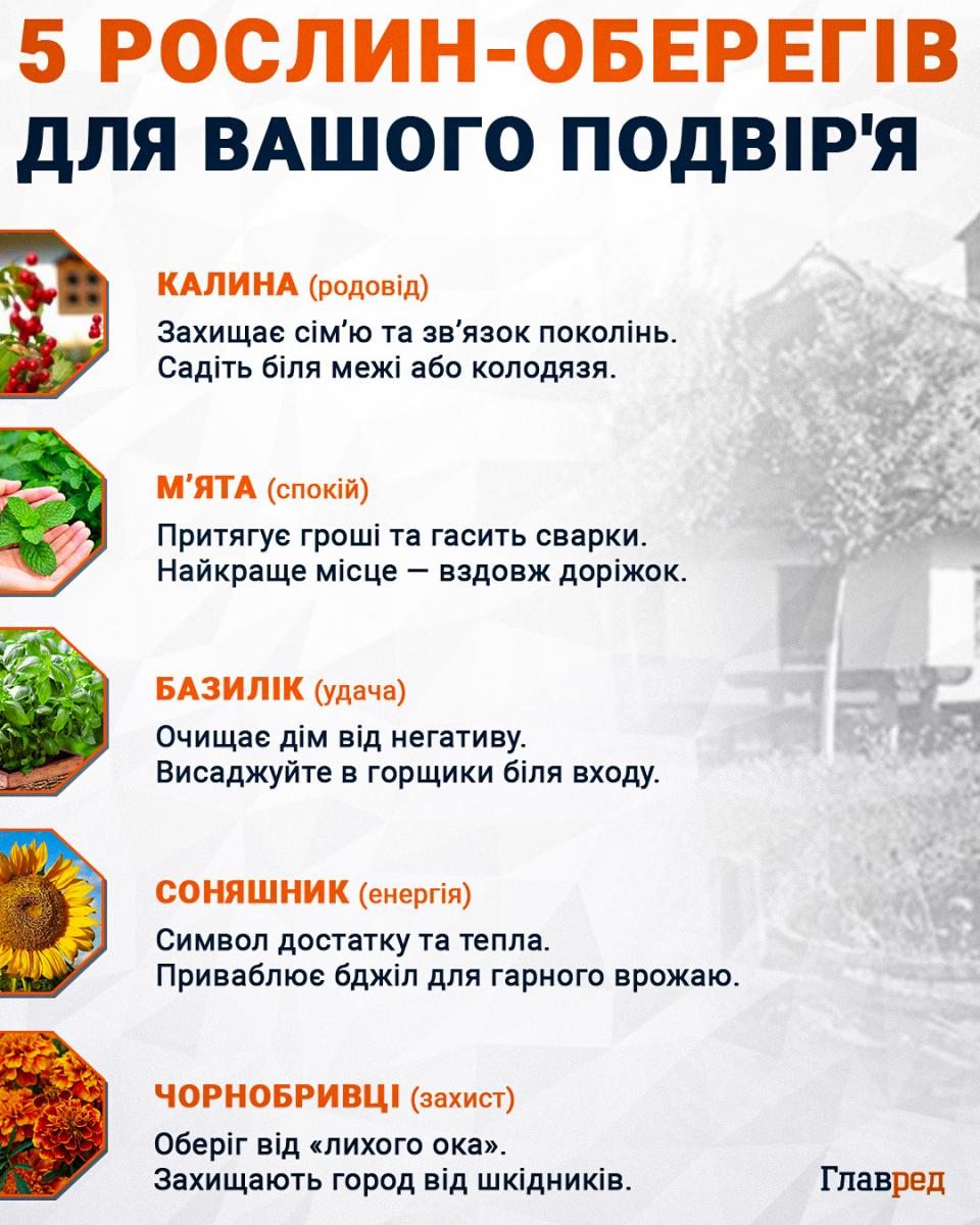 5 рослин-оберегів