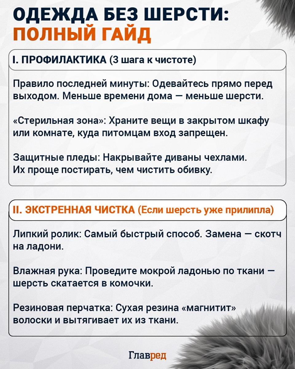 Как убрать шерсть с одежды