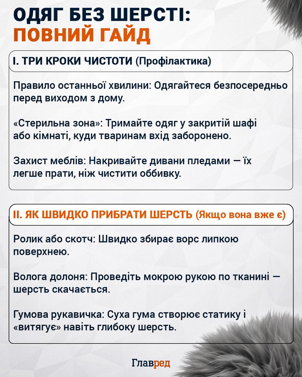 Як прибрати шерсть з одягу Як прибрати шерсть з одягу