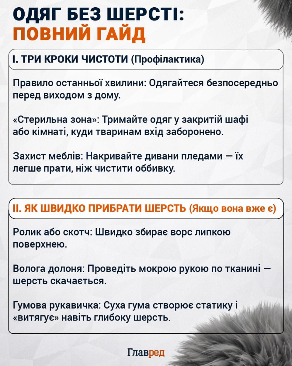 Як прибрати шерсть з одягу Як прибрати шерсть з одягу