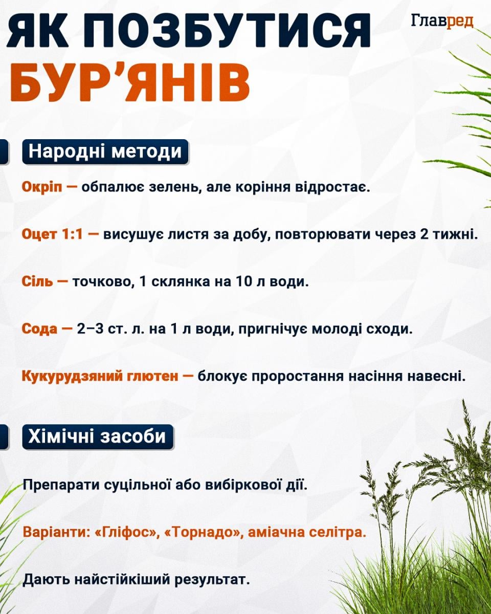 Як позбутися бур’янів