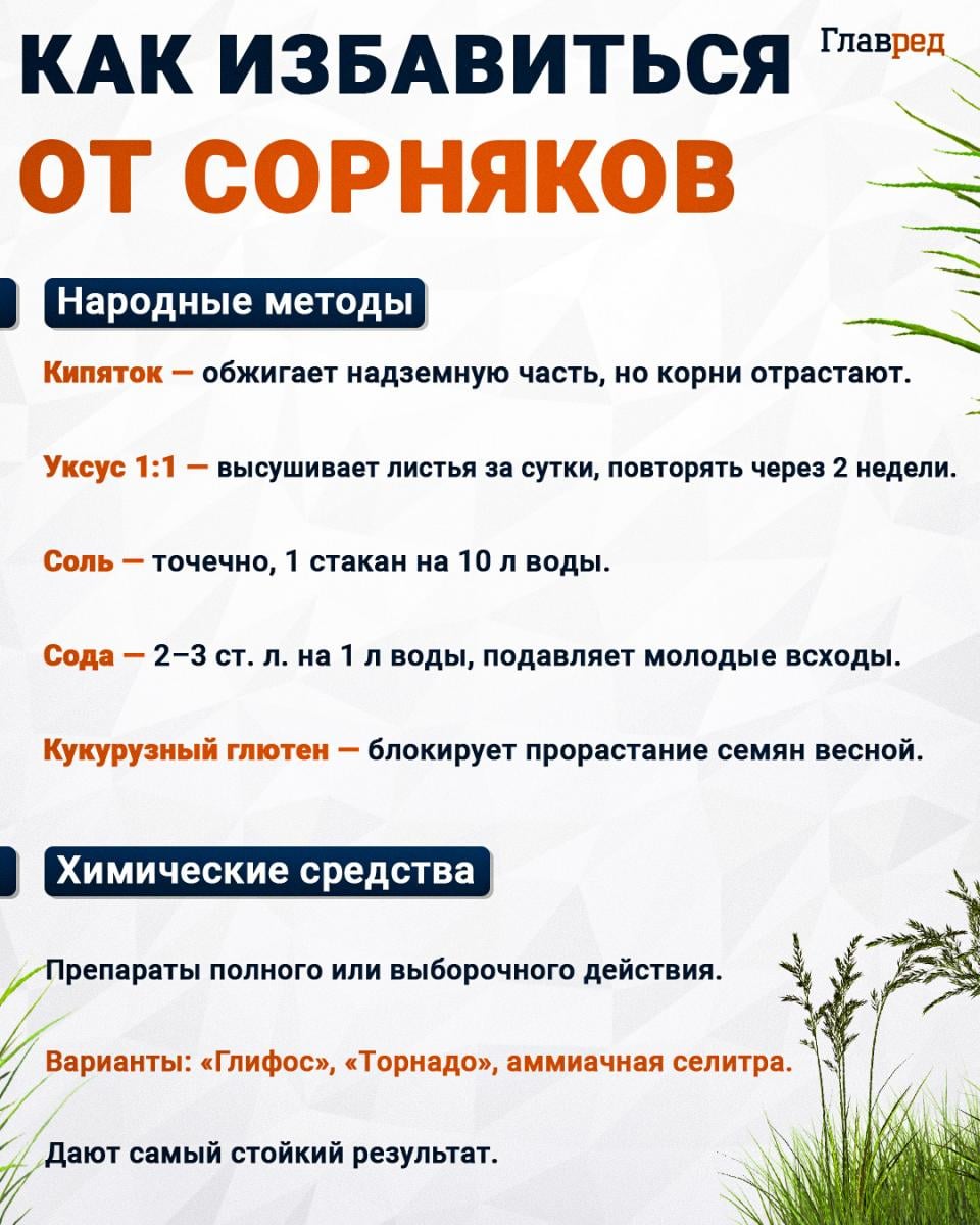 Как избавиться от сорняков