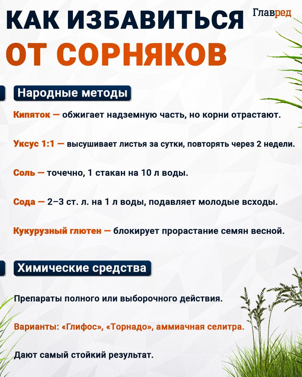 Как избавиться от сорняков Как избавиться от сорняков