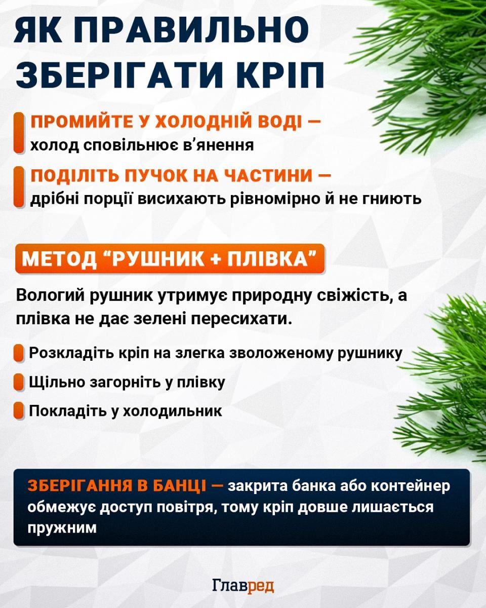 Як правильно зберігати кріп Як правильно зберігати кріп
