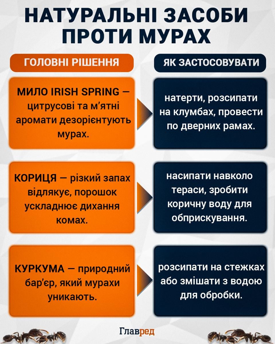 Натуральні засоби проти мурах