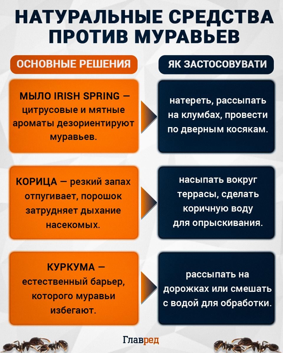 Натуральные средства против муравьев