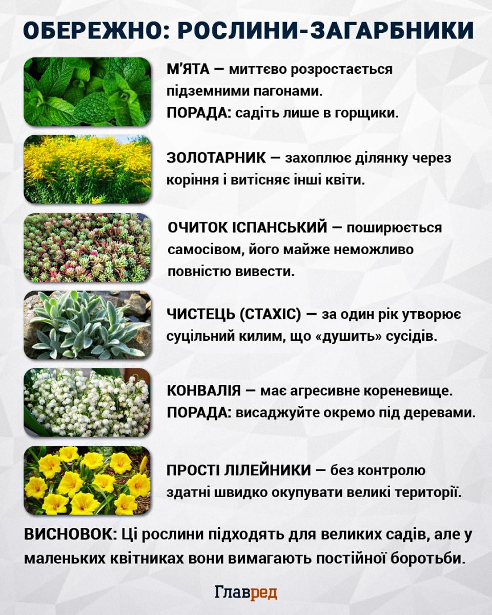 Рослини-загарбники