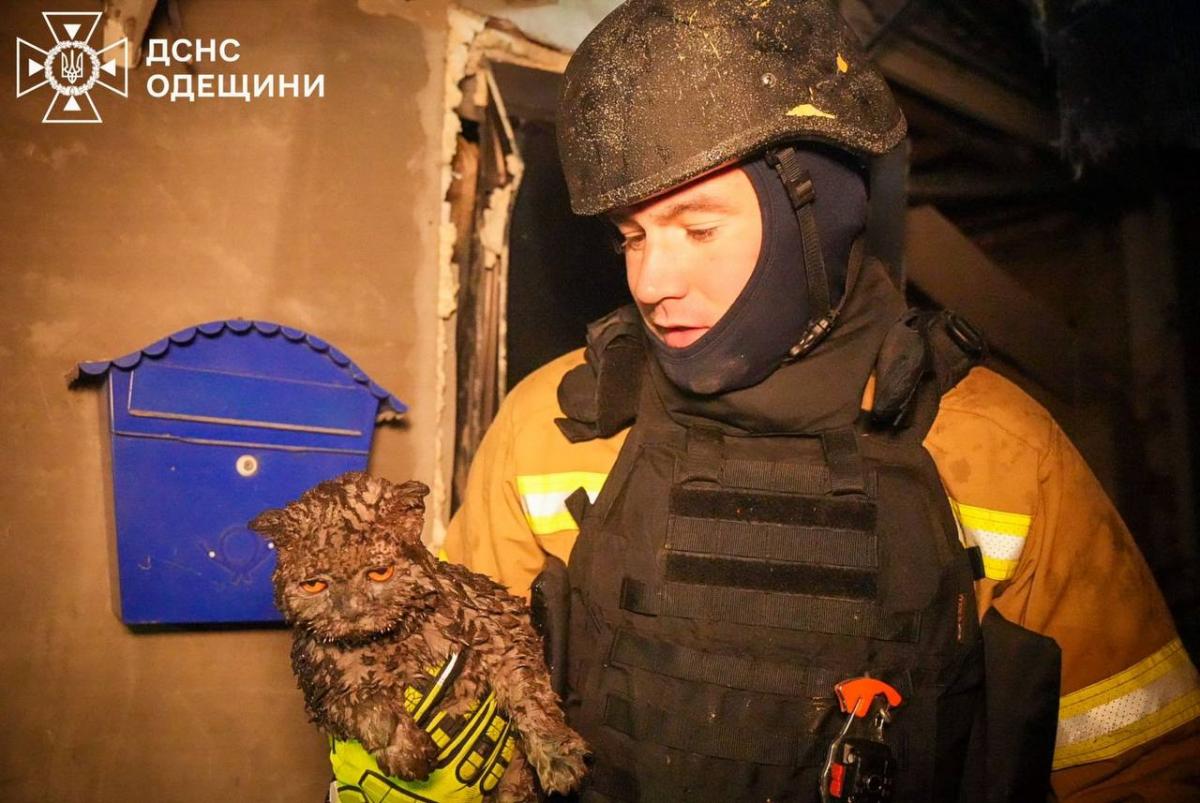 Наслідки атаки на Одесу в ніч на 24 квітня 2026