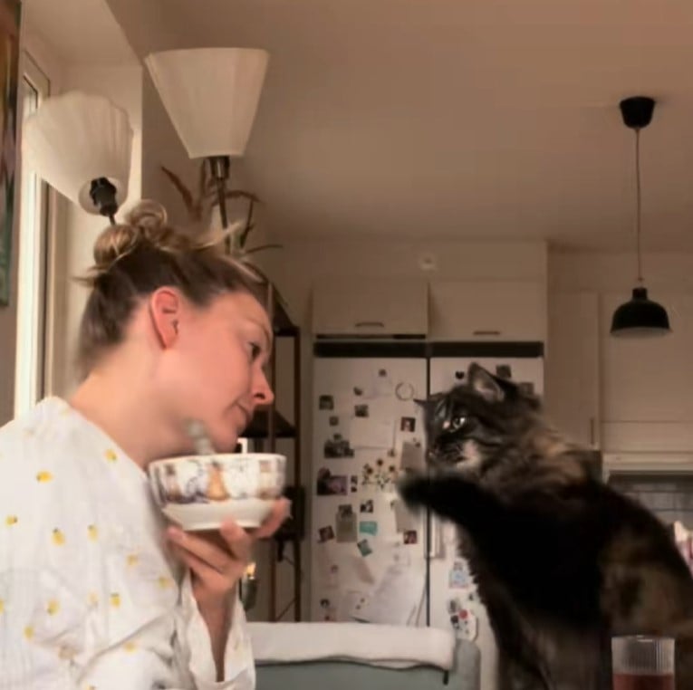 У дитинстві вихованцеві дозволяли допивати залишки молока з миски