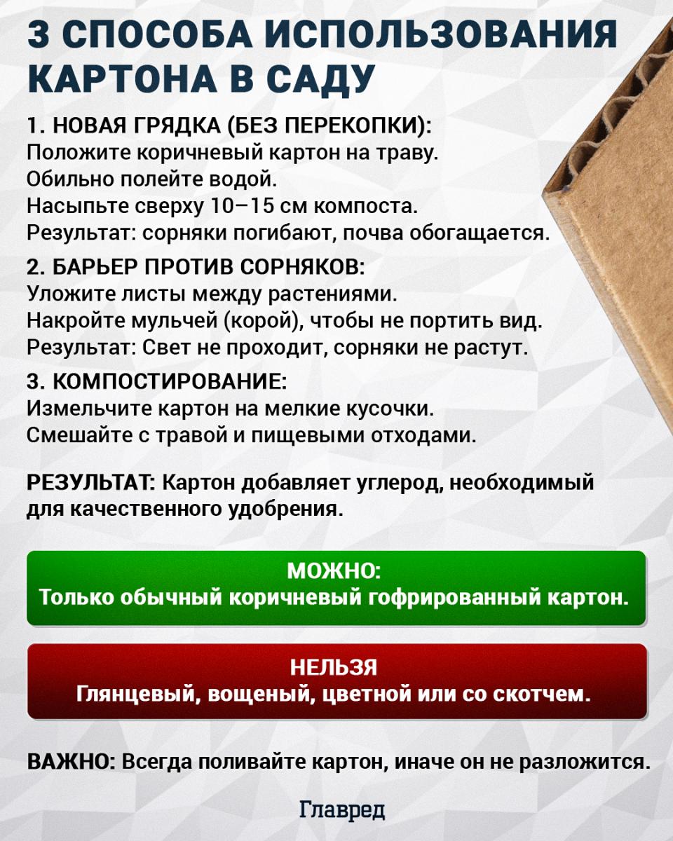 Как использовать картон в саду