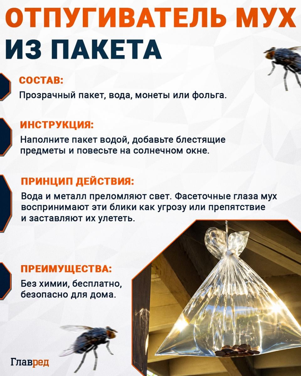 Отпугиватель мух Отпугиватель мух