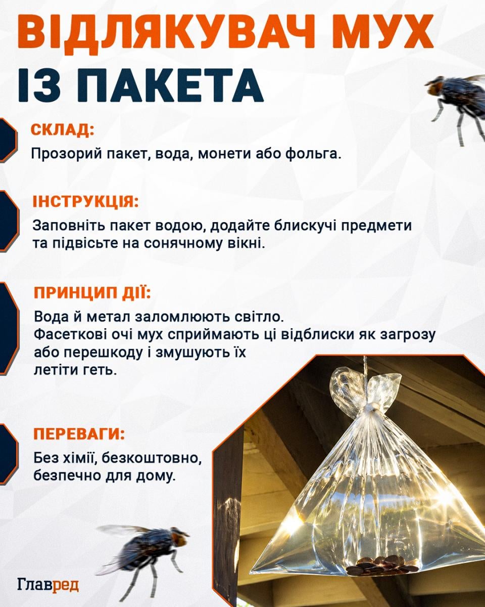 Відлякувач мух