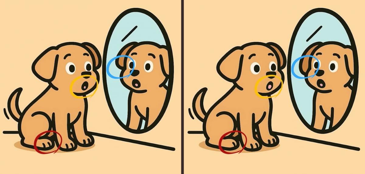 головоломка