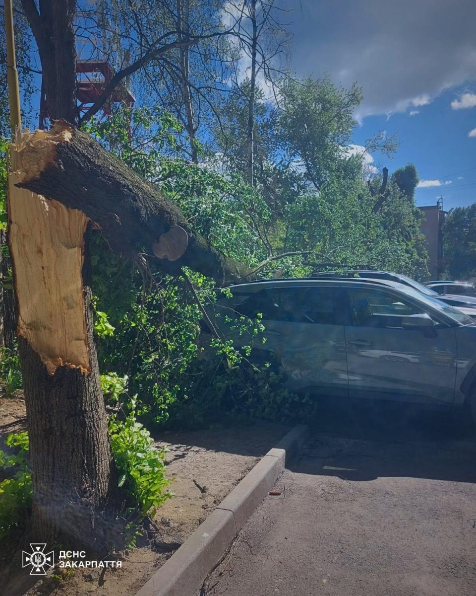 Негода в Україні 26 квітня