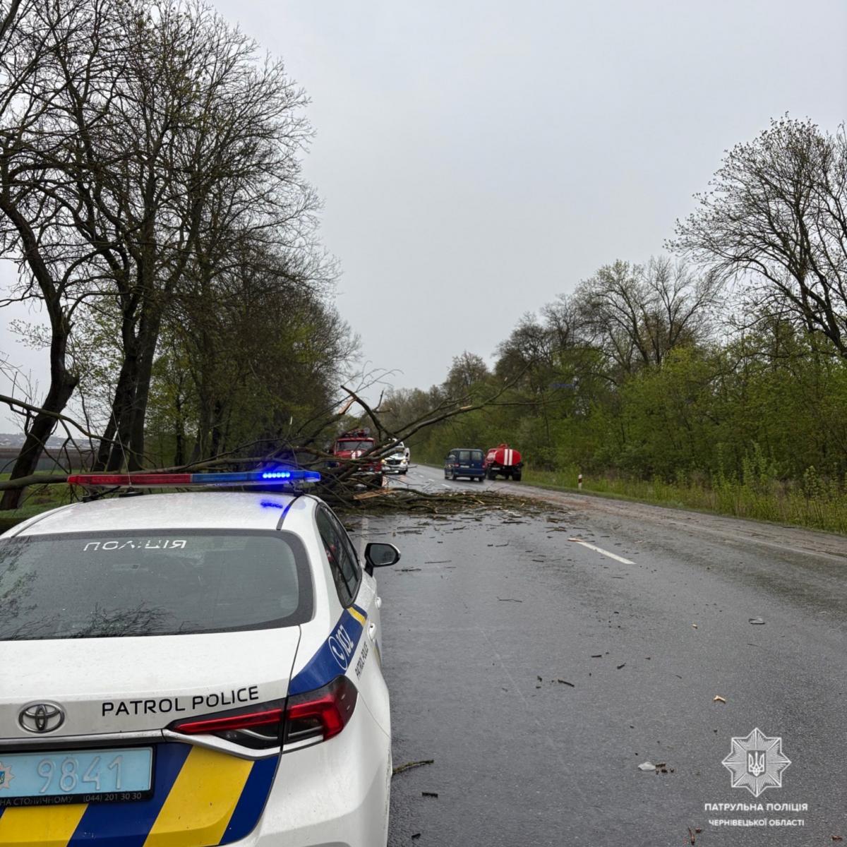 Наслідки негоди в Україні 26 квітня