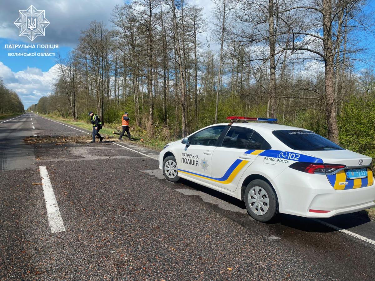 Наслідки негоди в Україні 26 квітня