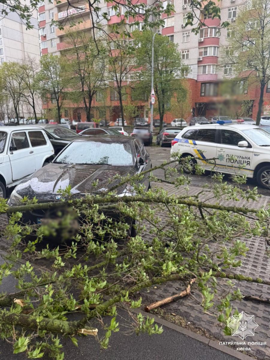 Наслідки негоди в Україні 26 квітня