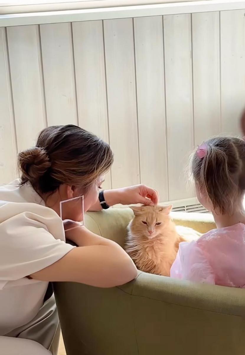 Кішка Наталії Могилевської