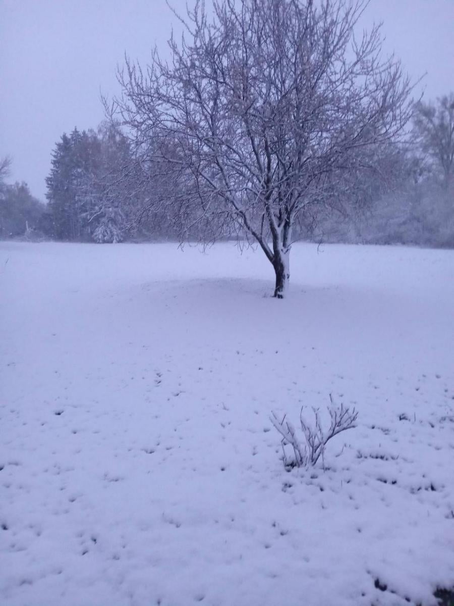 Справжнє потепління в Україну прийде не одразу: прогноз погоди на травень