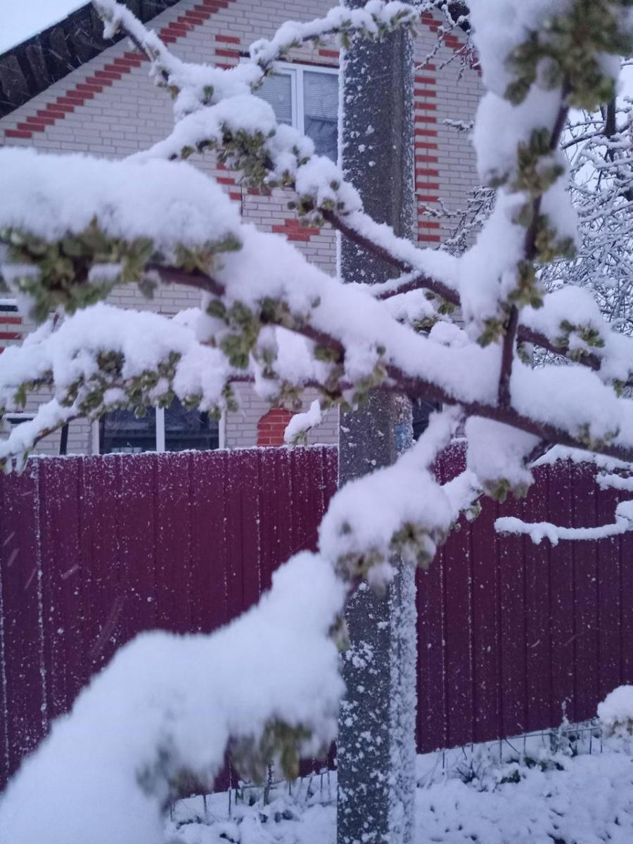 Справжнє потепління в Україну прийде не одразу: прогноз погоди на травень