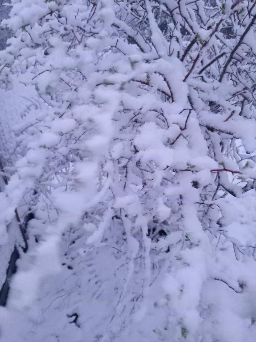 Справжнє потепління в Україну прийде не одразу: прогноз погоди на травень