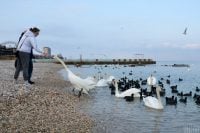 В Одесу суне циклон Rapunzel: синоптики попередили про різке зниження температури