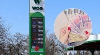 Цены на бензин и дизель скоро рухнут: насколько подешевеет топливо