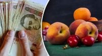 Популярний фрукт в Україні ризикує стати дефіцитним - ціни можуть злетіти на 80%