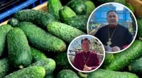 Нужно ли сажать огурцы на Юрия для хорошего урожая - священники ответили