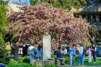 Придет ли потепление в Украину в конце апреля: синоптик озвучила прогноз