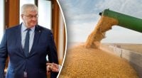 Украденное Россией зерно: посла Израиля вызвали в МИД