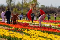 Розігріє до +20 градусів: коли в Україну прийде довгоочікуване потепління