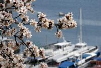 Коли в Одесі почнеться літо: синоптики опублікували прогноз на травень