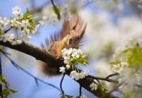 Антициклон змінить погоду в Україні: коли буде по-справжньому тепло та сонячно