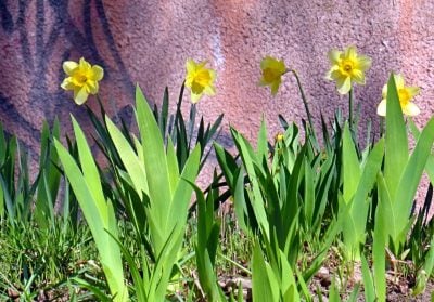 Погода на Рівненщині раптово зміниться: синоптики попереджають про туман Погода на Рівненщині раптово зміниться: синоптики попереджають про туман