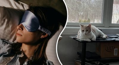 Кіт не давав господині спати і, можливо, врятував їй життя Кіт не давав господині спати і, можливо, врятував їй життя