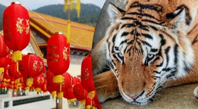 Китайский гороскоп на завтра