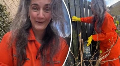 Геніально: жінка придумала, чим замінити пензель під час фарбування паркану