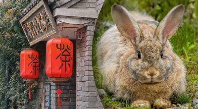 Китайский гороскоп на завтра