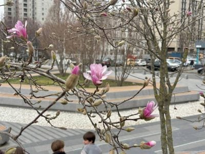 Від дощів до сонця: коли на вихідних у Дніпрі погода зробить різкий розворот