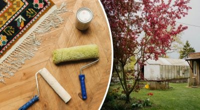 Почався справжній хаос: чоловік здивувався через знахідку у домі