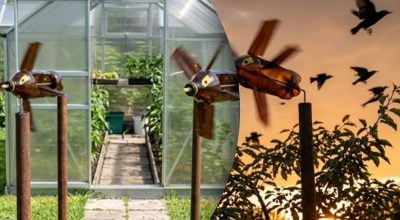 Як відлякати шпаків і кротів за допомогою одного методу Як відлякати шпаків і кротів за допомогою одного методу