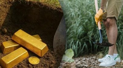 Чоловік копав яму і натрапив на схованку із золотом: скільки він отримав