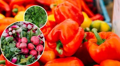 Не буде ні шкідників, ні бур'янів - що посадити поруч із перцем