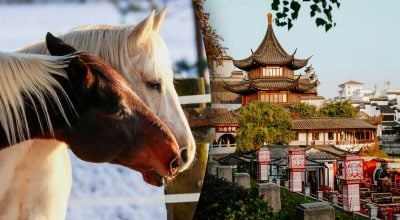 Китайський гороскоп на завтра, 8 квітня: Коням — перезавантаження, Півням — шанс Китайський гороскоп на завтра, 8 квітня: Коням — перезавантаження, Півням — шанс