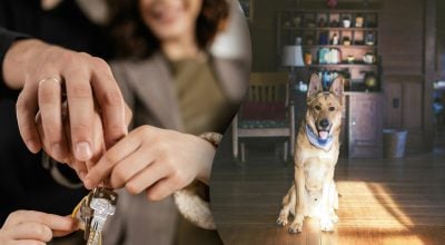 Подружжя попросило друга доглянути за будинком і пошкодувало: що сталося