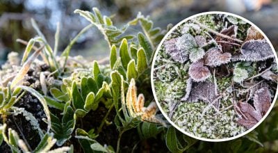 Температура впаде до мінуса: на Дніпропетровщину суне арктичне повітря