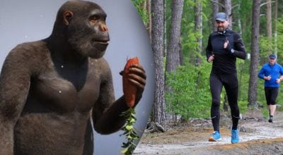 Знайдено найдавнішого предка людини Знайдено найдавнішого предка людини