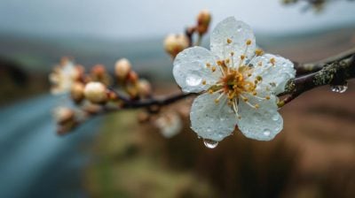 Ударит мороз до -5: Львовщину накроют опасные метеоявления Ударит мороз до -5: Львовщину накроют опасные метеоявления
